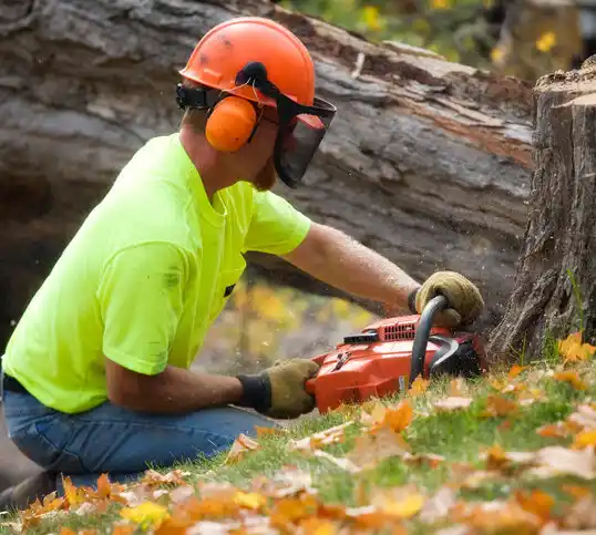 tree services Miles City